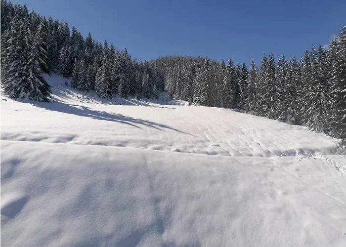 Apt, In-out - Heart Of Superb View, Wifi, Tv - Cimes De Caron 아파트